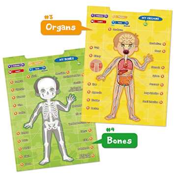 BEST LEARNING i-Poster My Body - Interactive Educational Human Anatomy Talking Game Toy | Learn Body Parts, Organs, Muscles and Bones for Kids Aged 5 to 12 Years Old