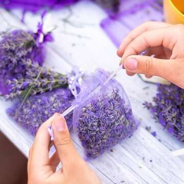 Harvest 2024-12 Sachets of Lavender from French Provence (Violet, 12 Sachets)