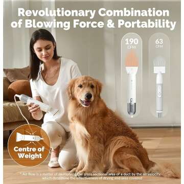 High Velocity Dog Hair Dryer for Pet Grooming