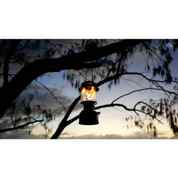 Coleman Powerhouse Lantern for Bright Outdoor Adventures