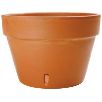 New England Pottery Orchid Pot, 4-Inch, Terra Cotta