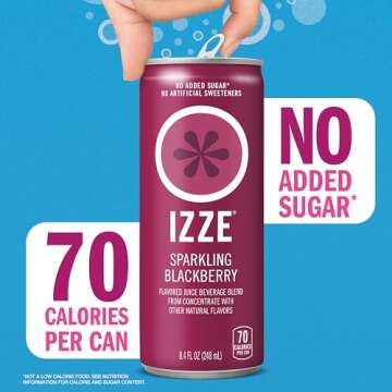 IZZE Blackberry Juice, No Sugar Added, 8.4 oz., 24/Carton