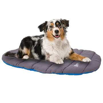 Chuckit Travel Dog Bed - Water Resistant, Portable & Comfortable