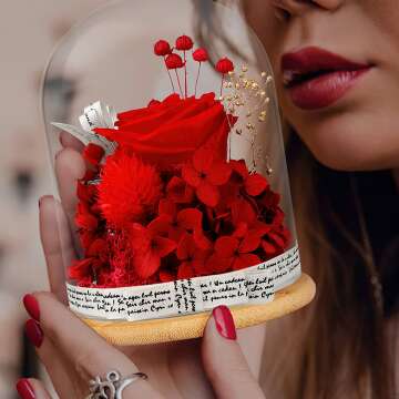 Preserved Red Rose Gift