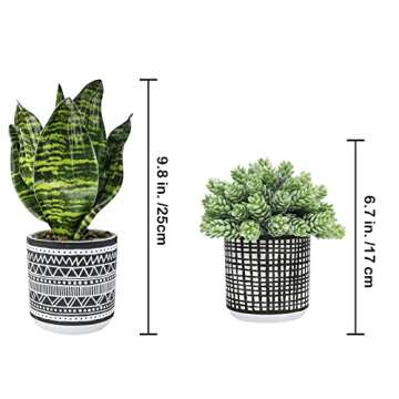 Winlyn 3 Pcs Small Potted Plants Artificial Succulents Hanging Plants and Faux Tropical Snake Plant in Black Geometric Pots for Modern Home Kitchen Windowsill Table Shelf Indoor Outdoor Greenery Decor