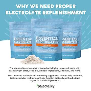 Paleovalley Essential Electrolytes Powder - Full Spectrum Orange Electrolyte Powder for Hydration, Energy and Muscle Recovery - No Sugar Added - 28 Servings