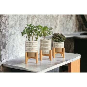 Mini Plant Stands Set with Pots for Home Decor