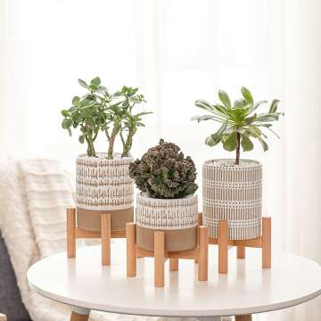 Mini Plant Stands Set with Pots for Home Decor