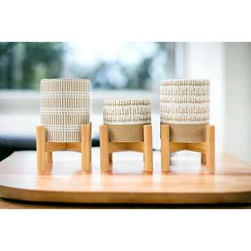 Mini Plant Stands Set with Pots for Home Decor