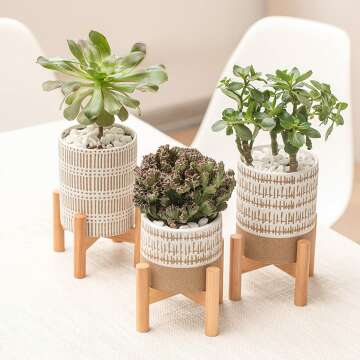 Mini Plant Stands Set with Pots for Home Decor