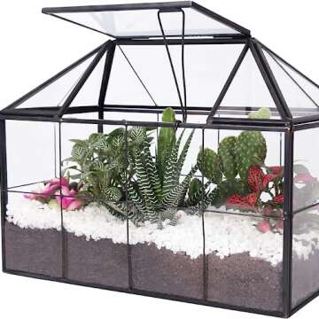 Terrarium Plant Ideas