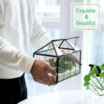 Terrarium Plant Ideas