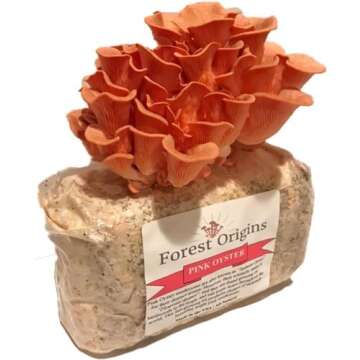 Forest Origins Pink Oyster Mushroom Grow Kit, Beginner Friendly & Easy to Use, Grows in 10 Days | Handmade in California, USA | Top Gardening Gift, Holiday Gift & Unique Gift