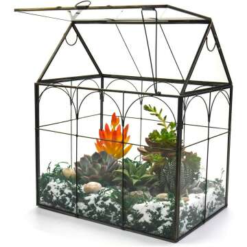 Indoor Large Terrarium with Lid for Succulents