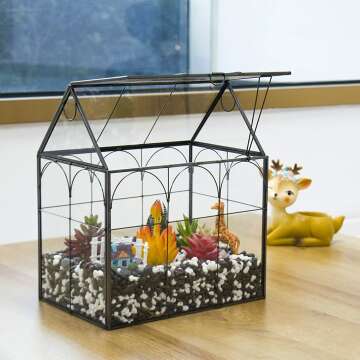 Indoor Large Terrarium with Lid for Succulents