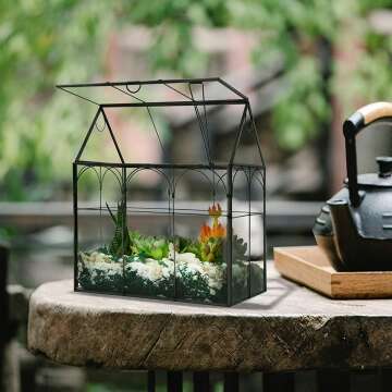 Indoor Large Terrarium with Lid for Succulents