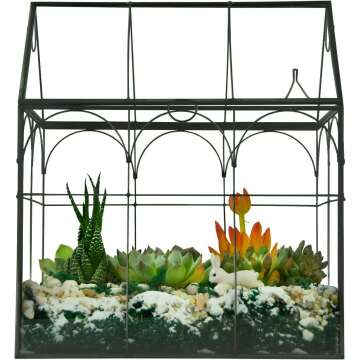 Indoor Large Terrarium with Lid for Succulents