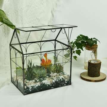 Indoor Large Terrarium with Lid for Succulents