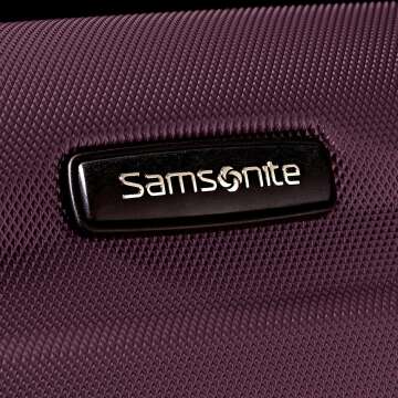 Samsonite Omizio 20-Inch Carry-On Spinner Luggage