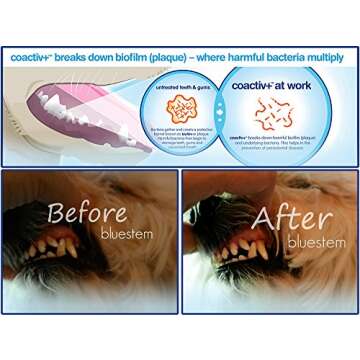 Pet Water Additive Oral Care: for Dogs & Cats Bad Breath, Dental Rinse Freshener Treats Plaque & Teeth Tartar. Dog & Cat Mouth Clean Health Treatment for Pets Drinking Bowl