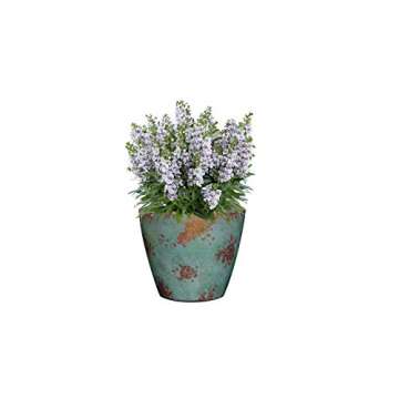 Classic Home and Garden Premiere Collection Planter Vogue, 8", Patina Copper