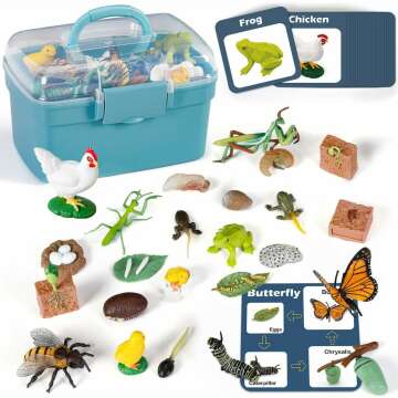 Engaging Life Cycle Learning Toys for Kids - 25-Piece Kits