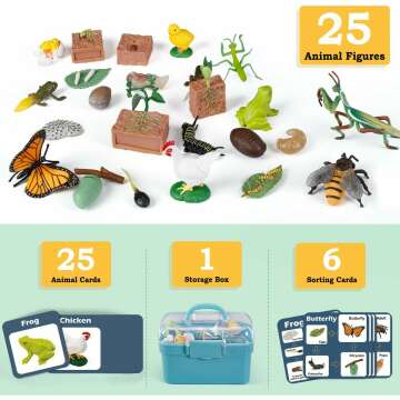 Life Cycle Learning Toys For Kids 25 Piece Sets