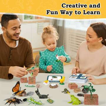 Life Cycle Learning Toys For Kids 25 Piece Sets