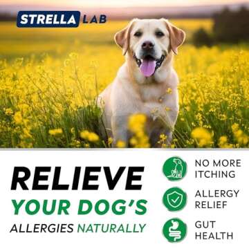 StrellaLab Dog Allergy Relief & Anti Itch Support Chews w/Omega 3: Real Ingredients, Real Taste! Skin & Coat Immune Supplement w/Fish Oil, Pumpkin & Enzymes — Developed by Experts - Made in USA -120Ct