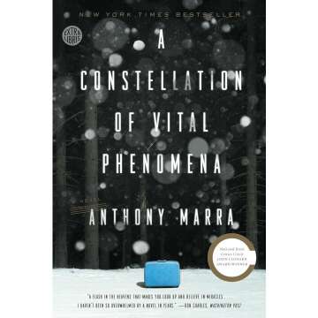 A Constellation of Vital Phenomena: A Novel