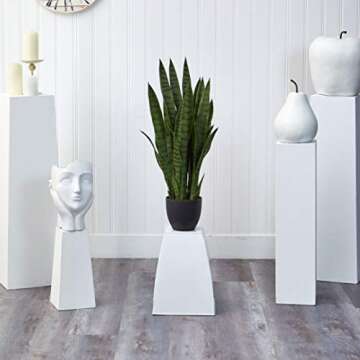 35in. Green Sansevieria in Stylish Black Planter