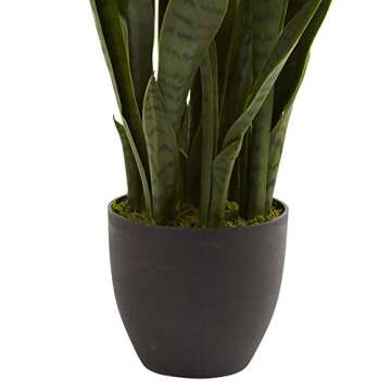 35in. Green Sansevieria in Stylish Black Planter