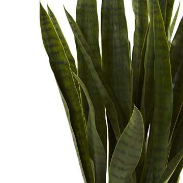 35in. Green Sansevieria in Stylish Black Planter