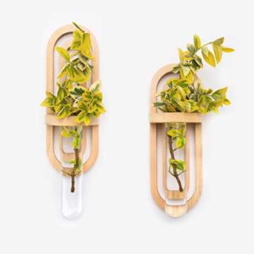 Beutikk Indoor Propagation Station - Home Decor - Test Tube Vase Planter - Wall Hanging Wood & Glass Terrarium - Office Decor - Modern Garden & Plant Station - Set of Two Skinny Vases & Wooden Holders