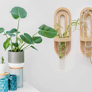 Beutikk Indoor Propagation Station - Home Decor - Test Tube Vase Planter - Wall Hanging Wood & Glass Terrarium - Office Decor - Modern Garden & Plant Station - Set of Two Skinny Vases & Wooden Holders