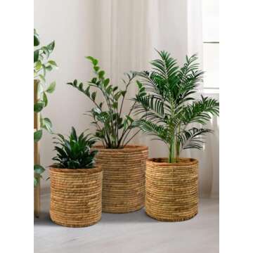 Serene Spaces Living Set of 3 Eco-Friendly Water Hyacinth Basket Pot: Stylish Plant Holder for Home and Garden, Indoor Plants, Flowers, Home, Office Decor, Gift-Giving, In Small, Medium & Large size