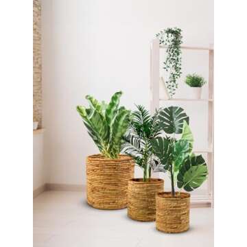 Serene Spaces Living Set of 3 Eco-Friendly Water Hyacinth Basket Pot: Stylish Plant Holder for Home and Garden, Indoor Plants, Flowers, Home, Office Decor, Gift-Giving, In Small, Medium & Large size