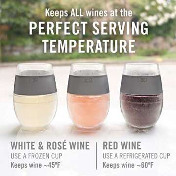 HOST Wine Freeze Cooling Cup, Plastic Double Wall Insulated Freezable Drink Chilling Tumbler with Freezing Gel Wine Glasses for Red and White Wine, Set of 1, 8.5 oz, Smoke