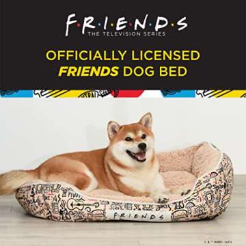 Friends the TV Show City Doodle Cuddler Dog Bed | Durable Washable Dog Bed from Warner Bros Friends, Friends TV Show Merchandise for Dogs | Elevated Dog Bed, Dog Mat, Pet Bed, Friends Dog Bed 24.00" x 19.00" x 8.00"