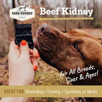 Farm Hounds - Beef Kidney - Premium Natural Beef Kidney Jerky For Dogs - Made From 100% Humanely Raised Cattle - Organ Treat - Great For Training & Treats - No Added Fillers - Made in USA -4oz -2 Pack