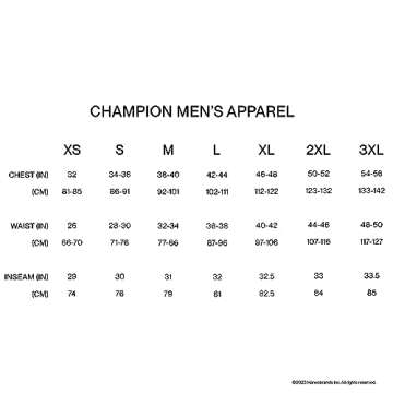 Champion mens Classic T-shirt, Classic Script T Shirt, Black-y06794, X-Small US