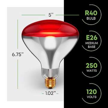 250 W att R40 Incandescent Light Bulbs (2-Pack) - Bathroom Infrared Heat Lamp for Chickens Chicks Puppies Reptiles Livestock Poultry , Sauna Red Light Therapy Bulb | 2,000 Hour Rated, E26 Base, 120V