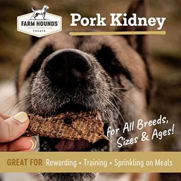 Farm Hounds - Pork Kidney - Premium Natural Pork Kidney Jerky For Dogs - Made From 100% Humanely Raised Pork - Organ Treats - Great For Training & Treats - No Added Fillers - Made in USA - 4oz -1 Pack