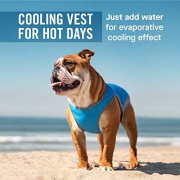 Canada Pooch Dog Cooling Vest - Evaporative Cooling Vest for Dogs with Breathable Mesh Material & Reflective Lining, Adjustable Dog Cooling Vest Great for Dogs 16 (15-17" Back Length), Aqua