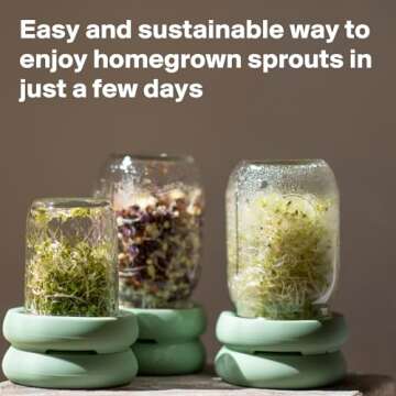 Food Huggers Sprout Huggers | Silicone Sprouting Lids | Fits Any Jar | No Rust, No Mess | Sprouting Mason Jar Kit | Grow Sprouts Indoors| Urban Garden | Easy Germination Broccoli Alfalfa Bean Sprouts