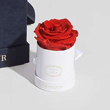 Venus et Fleur Le Mini Round Single - The Original Preserved Rose in a Box - Real Roses That Last a Year - White Gift Box, White Rose