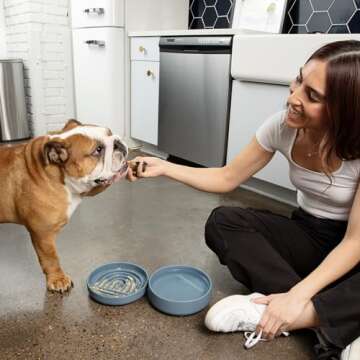 Should We Go? - The Slowdown Bowl - Silicone Slow Feeder for Dogs & Puppies, Slow Eating, Modern Lick Mat Design, Reduces Gulping, Dishwasher Fit, for All Breed, Mealtime Challenge, Medium-Blush