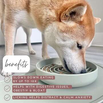 Should We Go? - The Slowdown Bowl - Silicone Slow Feeder for Dogs & Puppies, Slow Eating, Modern Lick Mat Design, Reduces Gulping, Dishwasher Fit, for All Breed, Mealtime Challenge, Medium-Blush