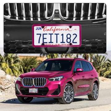 LivTee 4 Holes Stainless Steel License Plate Frames, 2 PCS Car Licence Plate Covers, Automotive Exterior Accessories Slim Design with Bolts Washer Caps for US Vehicles, Hot Pink