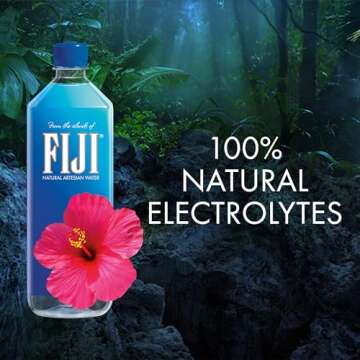 FIJI Natural Artesian Water 12 Pack 1 Liter